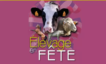 Image officielle Stan Elevage